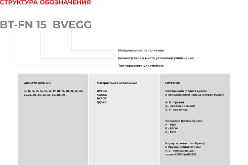Торцевое уплотнение BT-FN 40 QQVGG в Новосибирске фото
